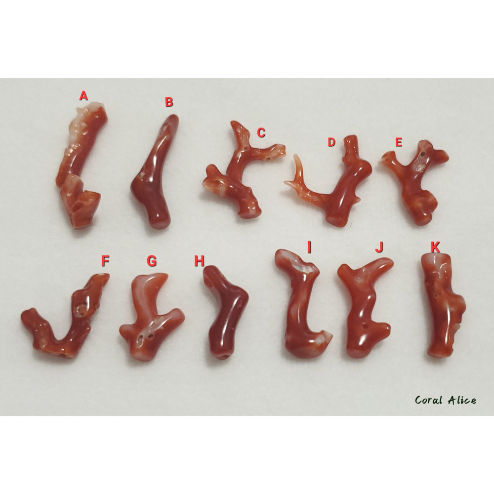 🌟Coral珊寶手作-天然阿卡珊瑚自然枝(無孔) 17.2-30.8mm CO2P1-236-細節圖8