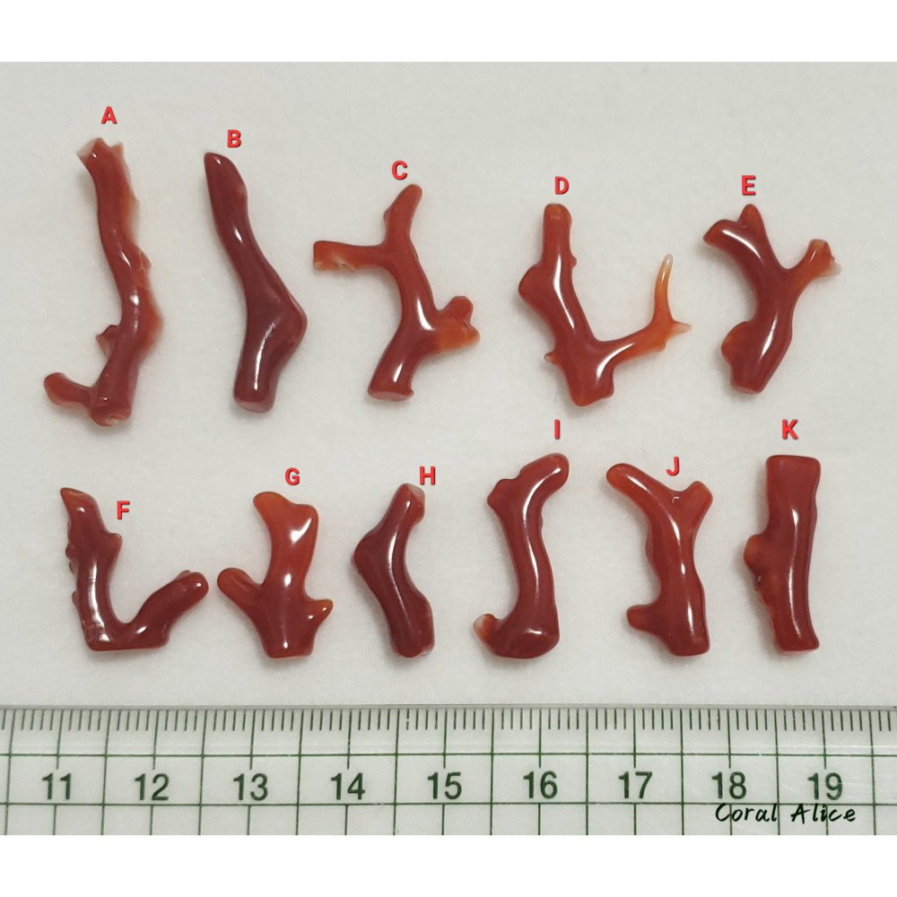 🌟Coral珊寶手作-天然阿卡珊瑚自然枝(無孔) 17.2-30.8mm CO2P1-236-細節圖11