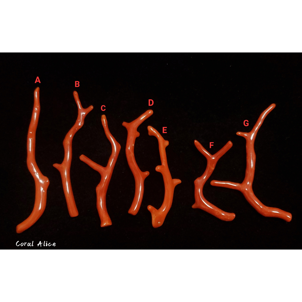 🌟Coral珊寶手作-天然沙丁珊瑚/紅珊瑚自然枝(無孔) CO2P1-237-細節圖4