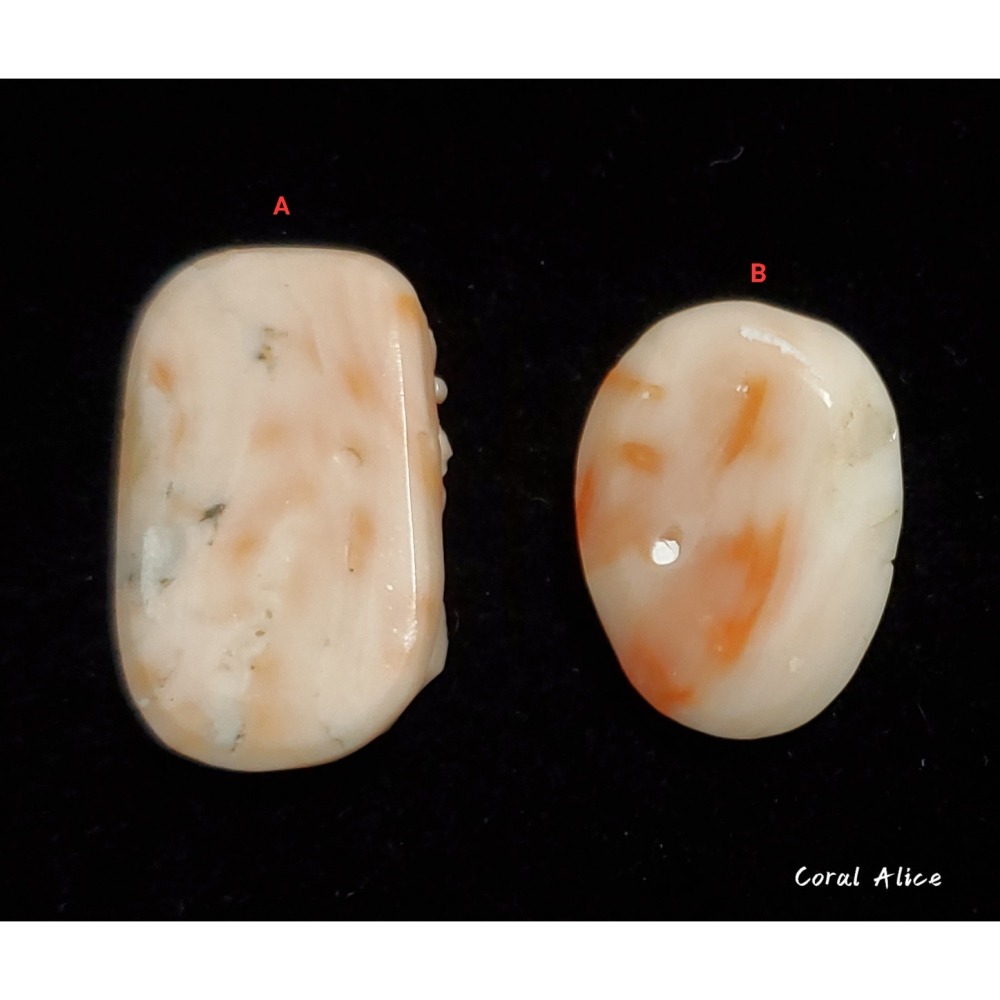 🌟Coral珊寶手作-天然深水珊瑚手工雕刻件(無孔) CO2P1-241-細節圖3
