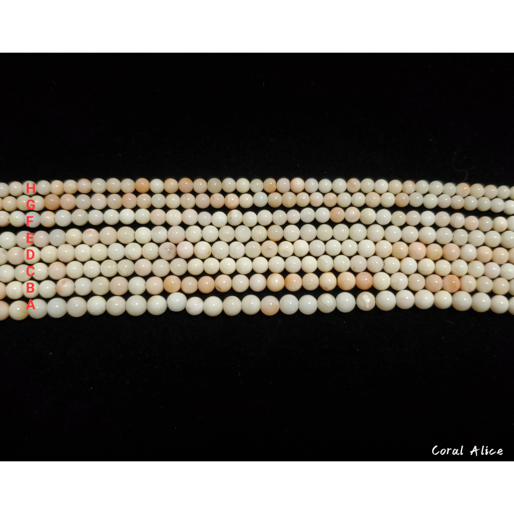 🌟Coral珊寶手作-天然珊瑚/寶石珊瑚/白珊瑚珠3.3-4.7mm CO2T1-553 