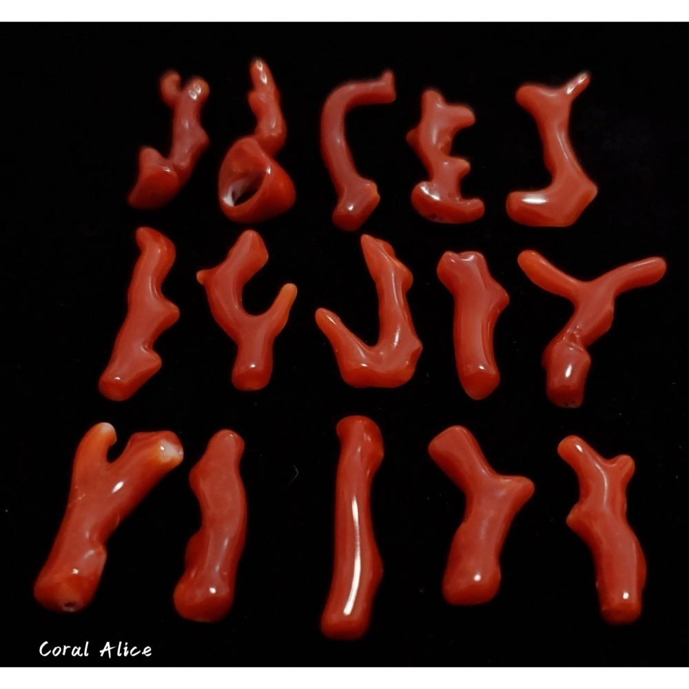 🌟Coral珊寶手作-天然阿卡珊瑚自然枝 21.6-36.4mm CO2P1-234-細節圖3