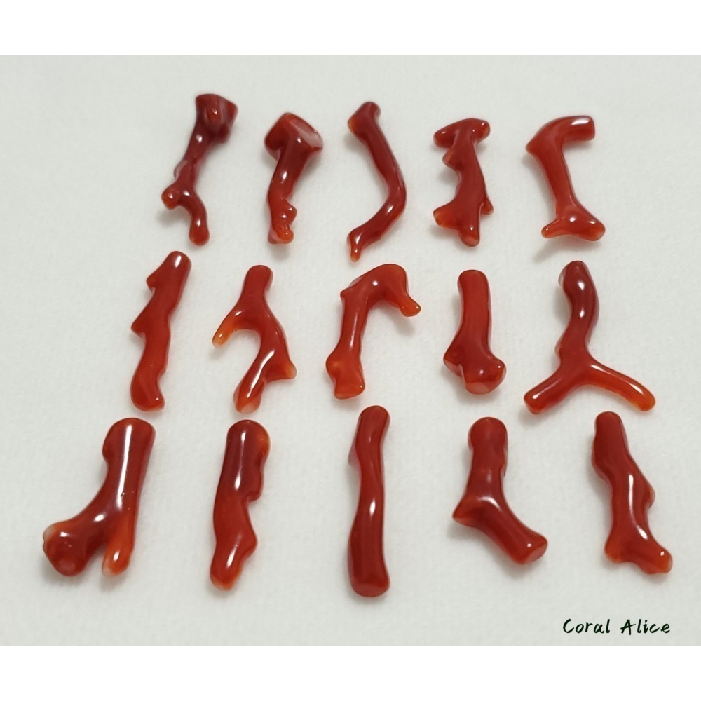 🌟Coral珊寶手作-天然阿卡珊瑚自然枝 21.6-36.4mm CO2P1-234-細節圖8