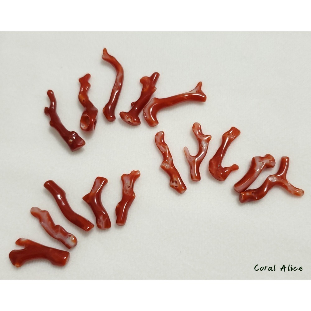 🌟Coral珊寶手作-天然阿卡珊瑚自然枝 21.6-36.4mm CO2P1-234-細節圖9