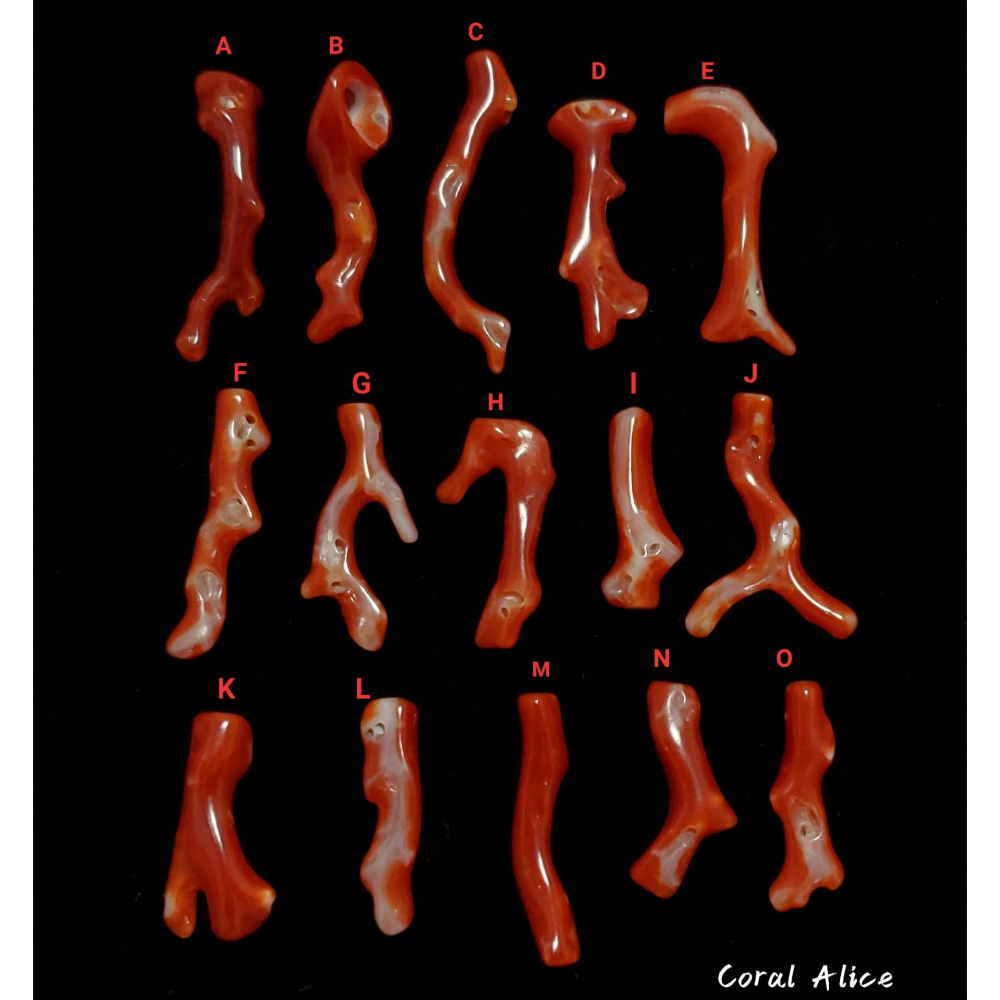 🌟Coral珊寶手作-天然阿卡珊瑚自然枝 21.6-36.4mm CO2P1-234-細節圖5