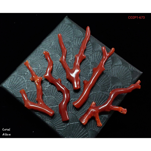 🌟Coral珊寶手作-天然阿卡珊瑚/紅珊瑚自然枝(無孔) CO2P1-673