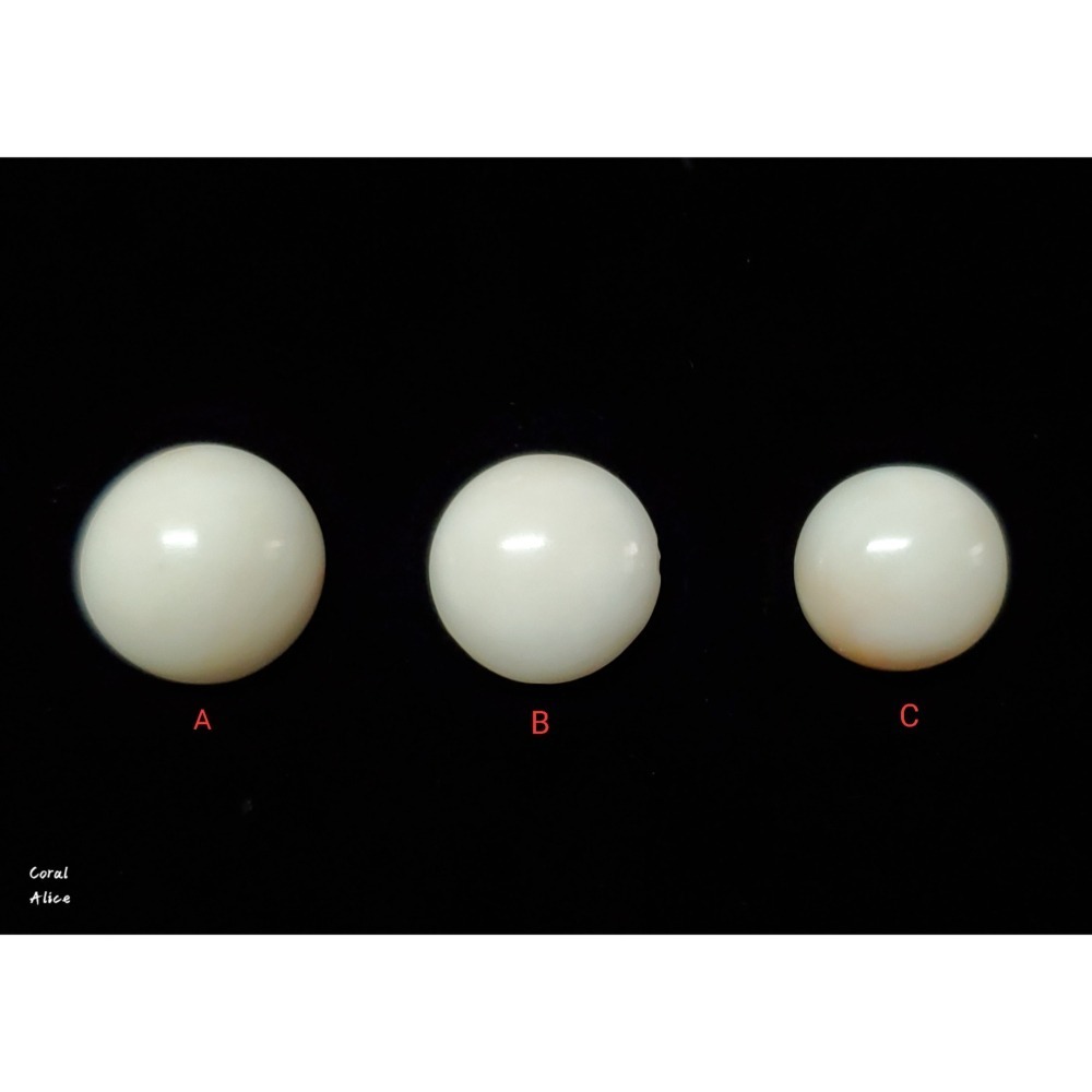 🌟Coral珊寶手作-天然白珊瑚半面圓型裸石 14.4-16.1mm CO2P1-677-細節圖2