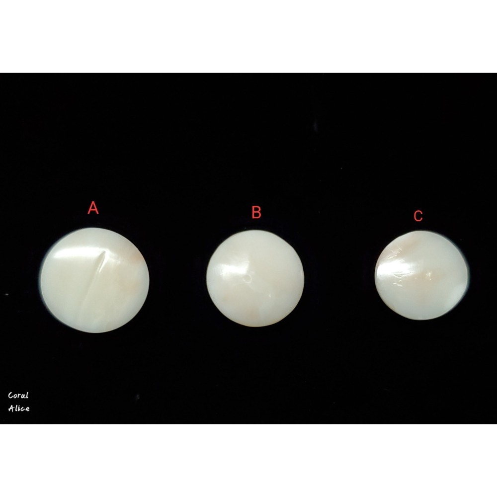 🌟Coral珊寶手作-天然白珊瑚半面圓型裸石 14.4-16.1mm CO2P1-677-細節圖3