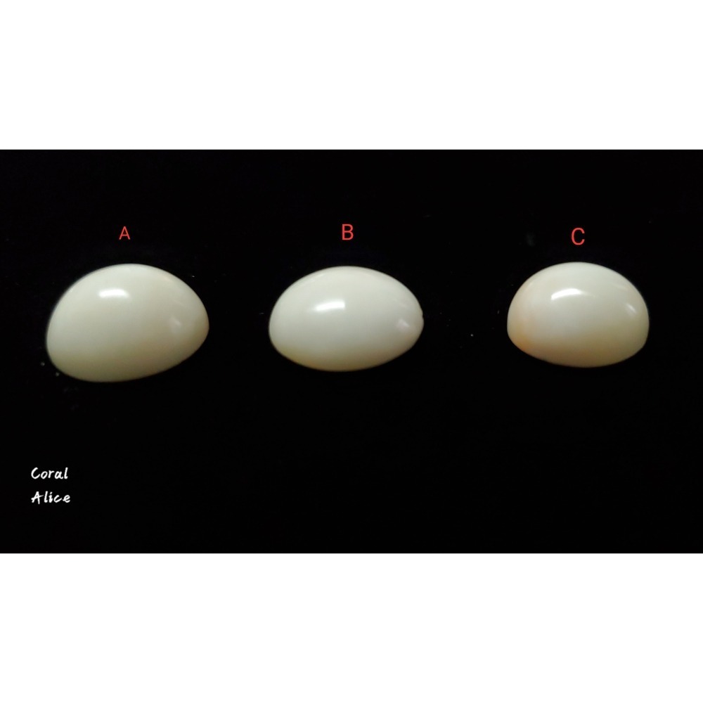🌟Coral珊寶手作-天然白珊瑚半面圓型裸石 14.4-16.1mm CO2P1-677-細節圖4