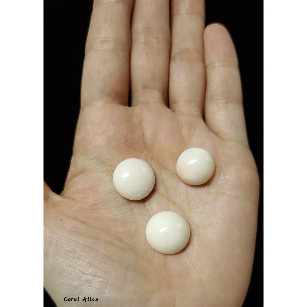 🌟Coral珊寶手作-天然白珊瑚半面圓型裸石 14.4-16.1mm CO2P1-677-細節圖6