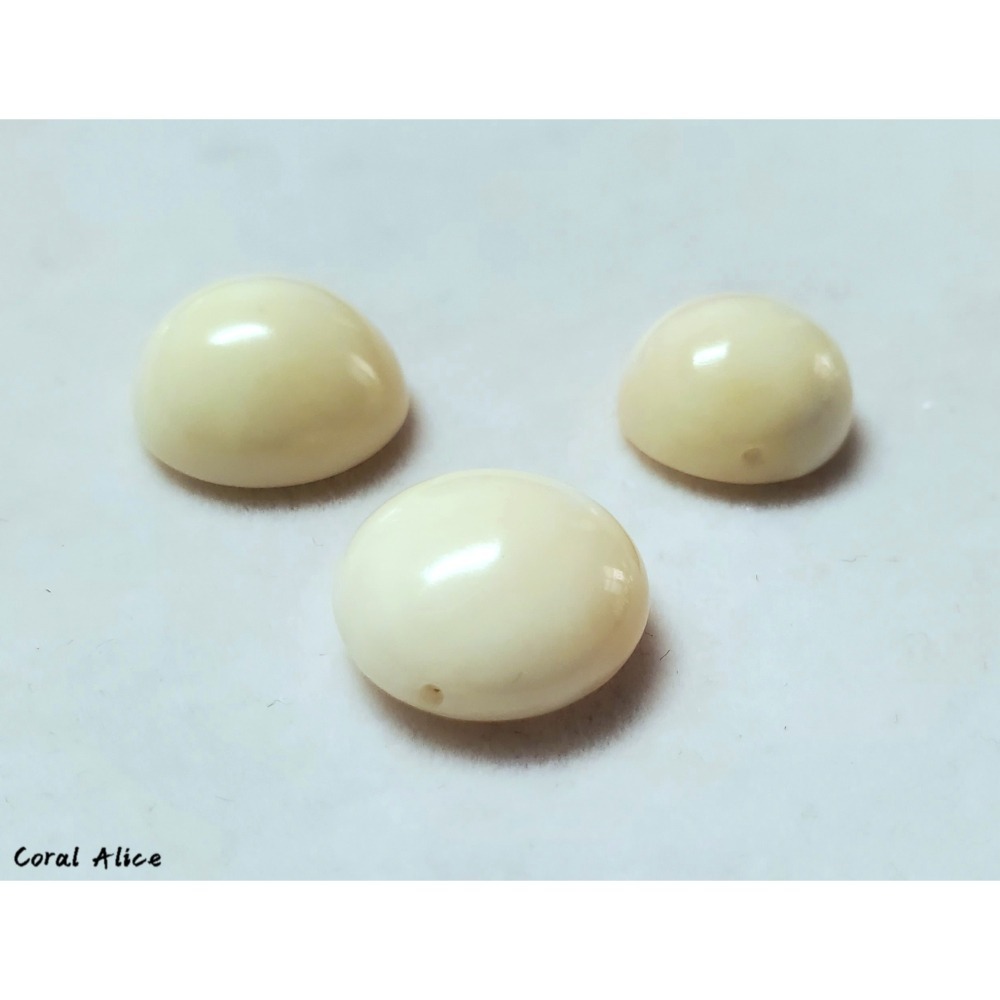 🌟Coral珊寶手作-天然白珊瑚半面圓型裸石 14.4-16.1mm CO2P1-677-細節圖8