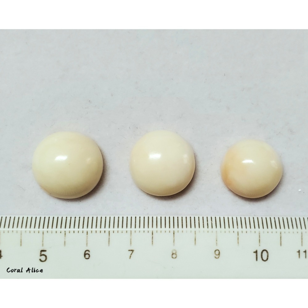 🌟Coral珊寶手作-天然白珊瑚半面圓型裸石 14.4-16.1mm CO2P1-677-細節圖9