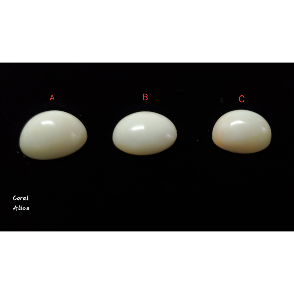 🌟Coral珊寶手作-天然白珊瑚半面圓型裸石 CO2P1-677-細節圖4