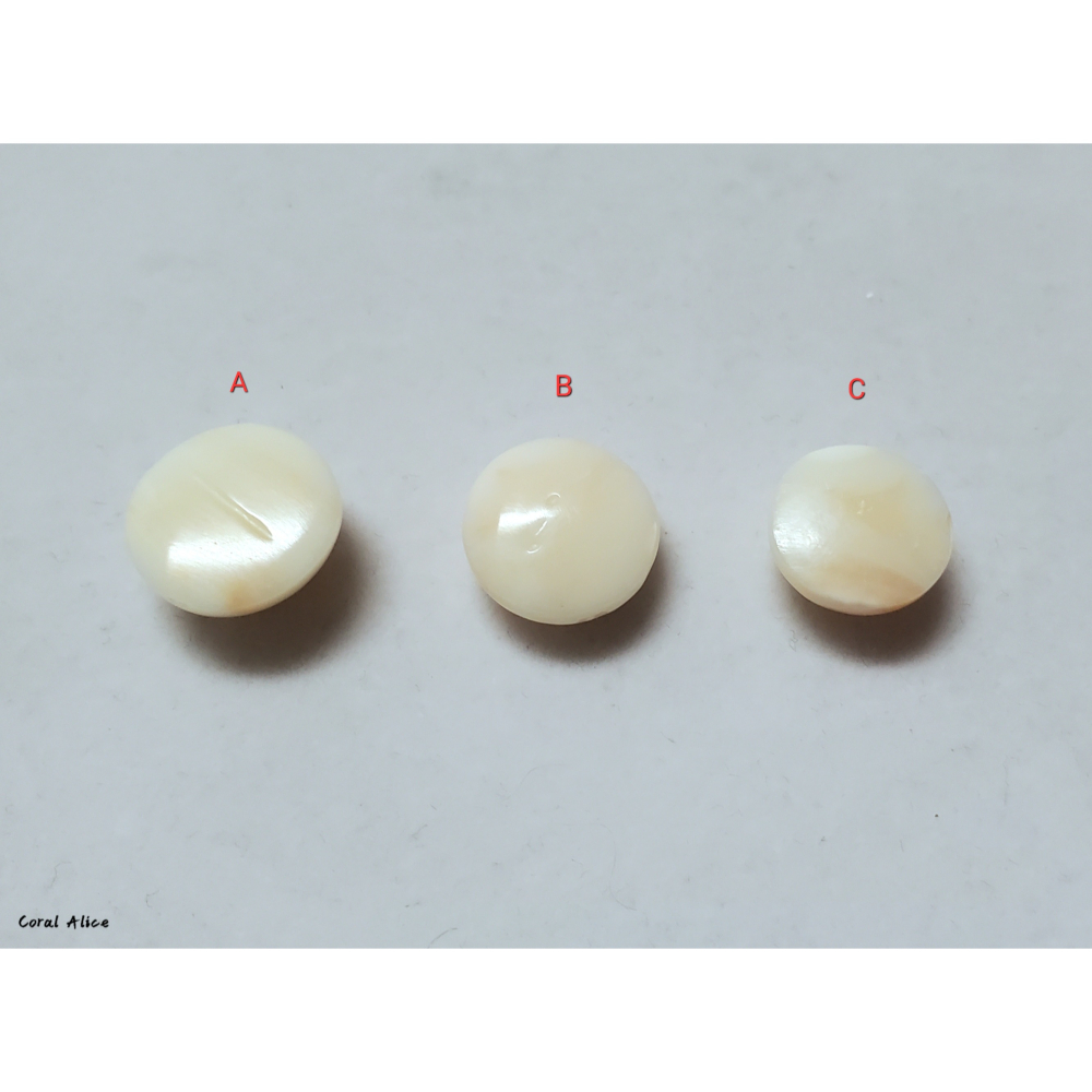 🌟Coral珊寶手作-天然白珊瑚半面圓型裸石 CO2P1-677-細節圖7