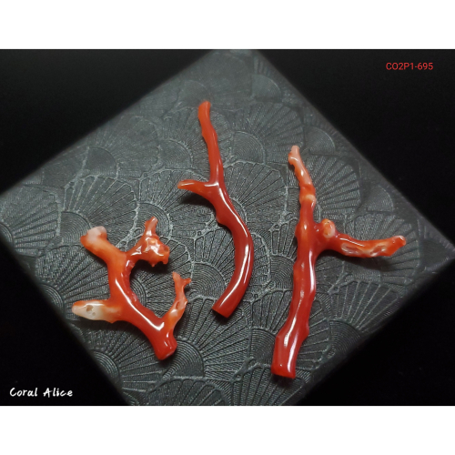 🌟Coral珊寶手作-天然阿卡珊瑚/紅珊瑚自然枝(無孔 拋光) CO2P1-695