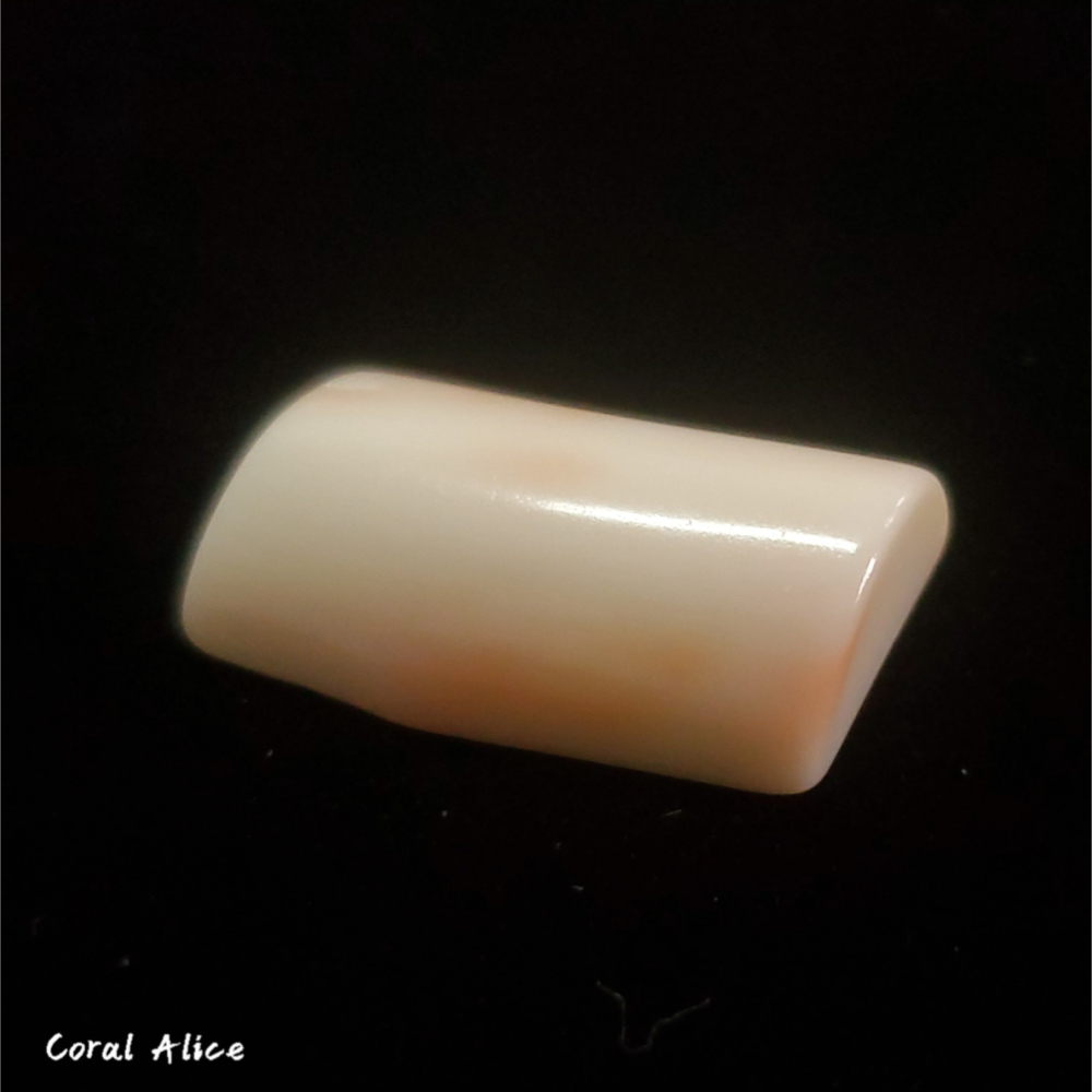 🌟Coral珊寶手作-天然白珊瑚造型凸面裸石20.9*13.3*6.5mm CO2P1-698-細節圖4