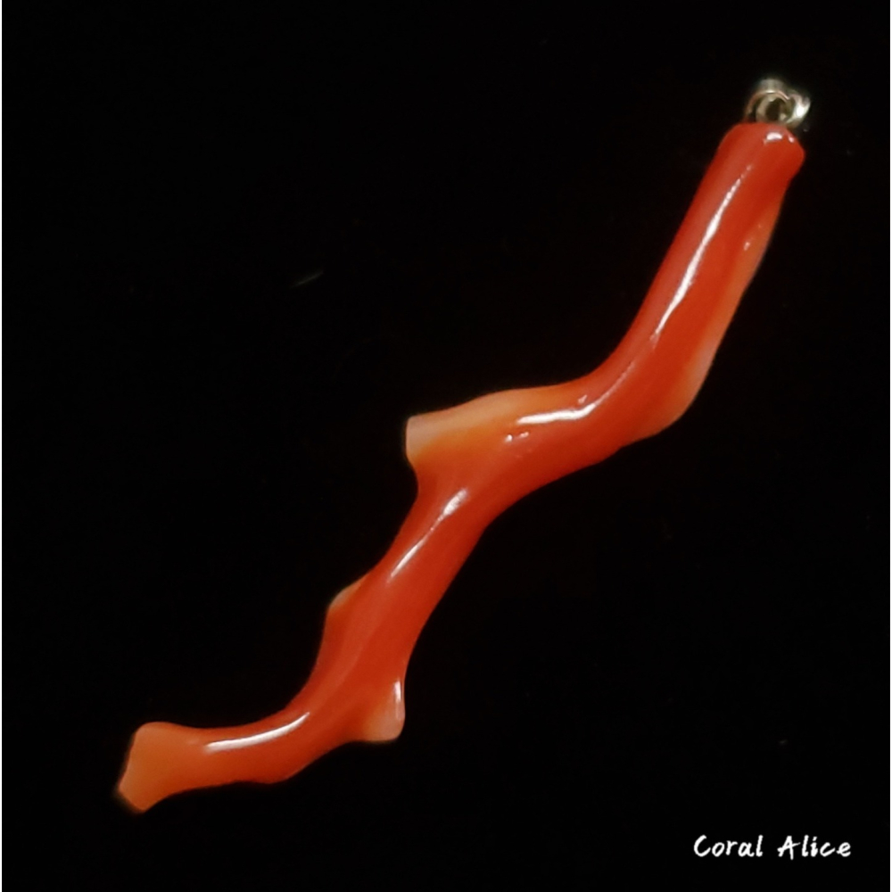 🌟Coral珊寶手作-天然阿卡珊瑚自然枝項墜47mm CO2P1-700-細節圖2
