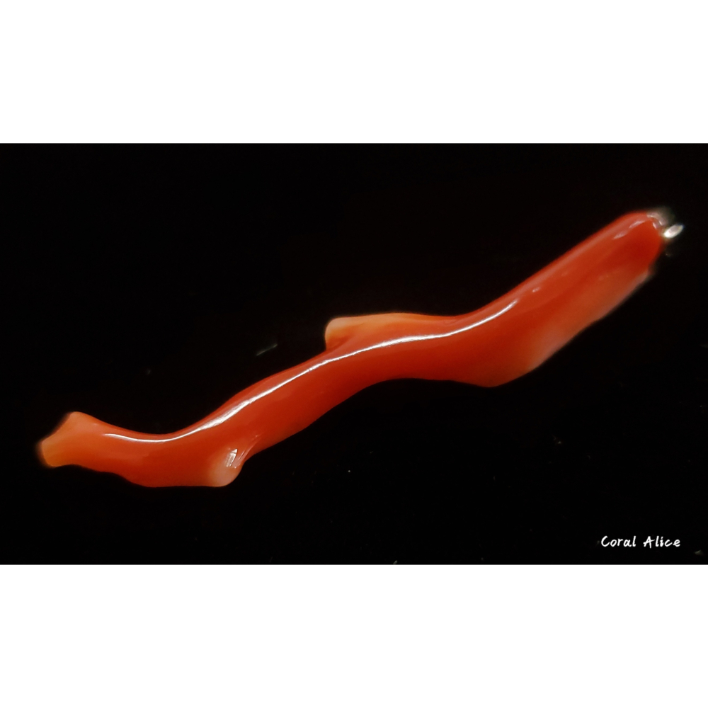 🌟Coral珊寶手作-天然阿卡珊瑚自然枝項墜47mm CO2P1-700-細節圖3