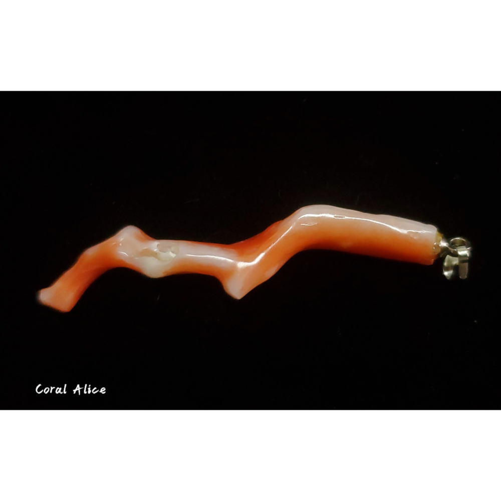 🌟Coral珊寶手作-天然阿卡珊瑚自然枝項墜47mm CO2P1-700-細節圖5