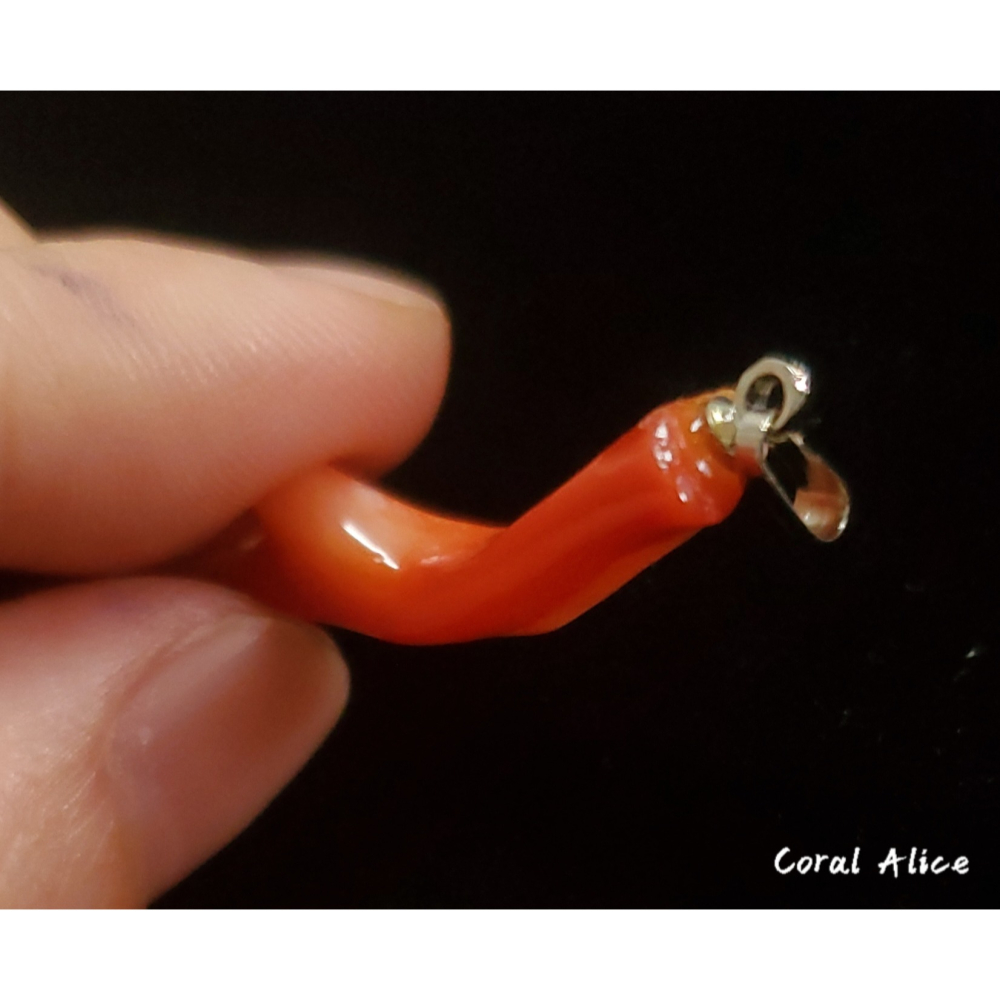 🌟Coral珊寶手作-天然阿卡珊瑚自然枝項墜47mm CO2P1-700-細節圖7