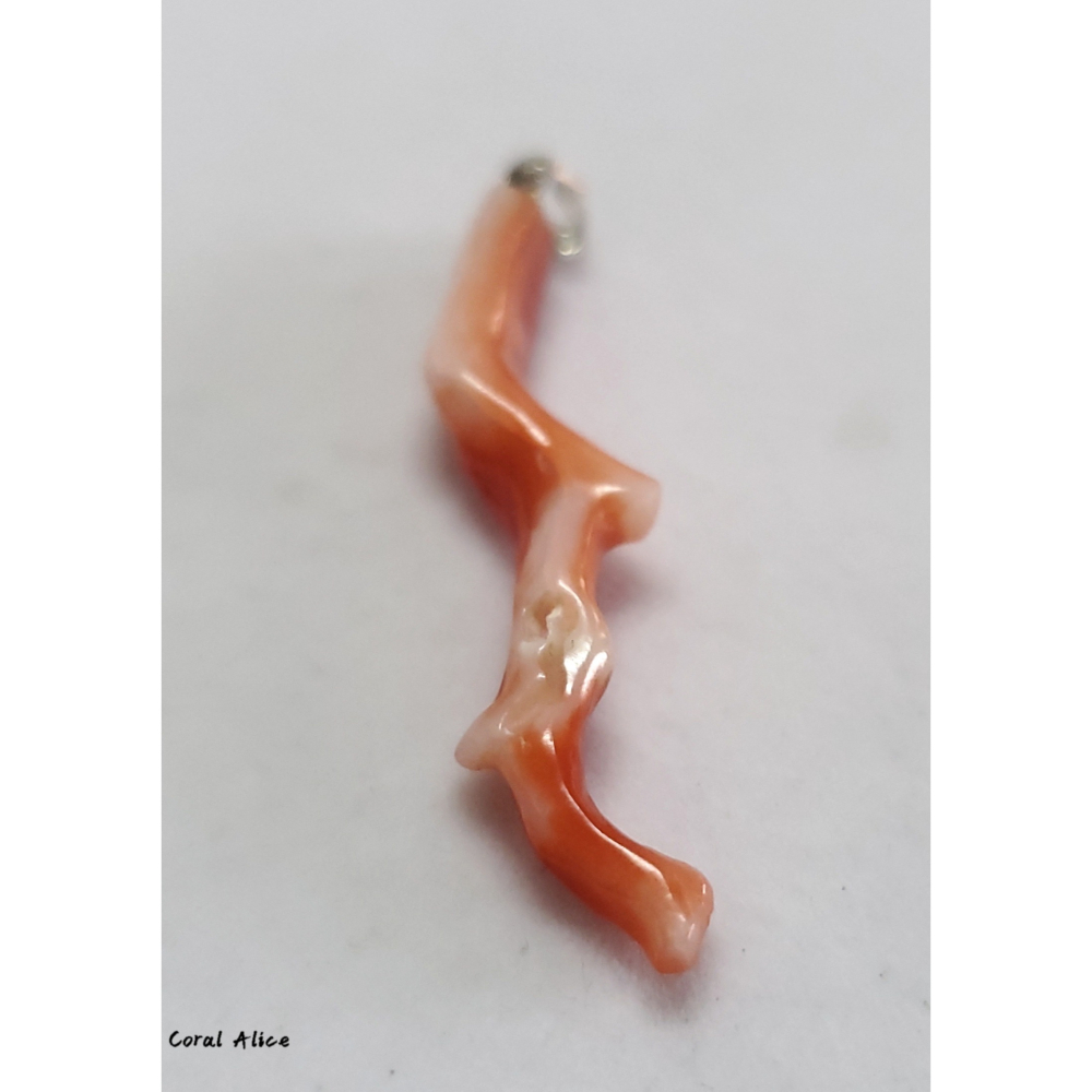 🌟Coral珊寶手作-天然阿卡珊瑚自然枝項墜47mm CO2P1-700-細節圖9