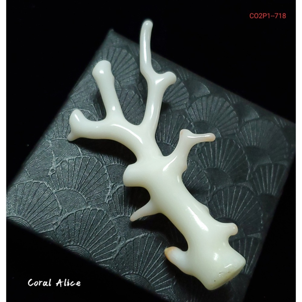 🌟Coral珊寶手作-天然白珊瑚/南枝珊瑚自然枝(無孔) CO2P1-718-細節圖2