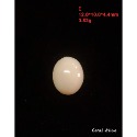 🌟Coral珊寶手作-天然珊瑚蛋面裸石 CO2P1-736-規格圖10