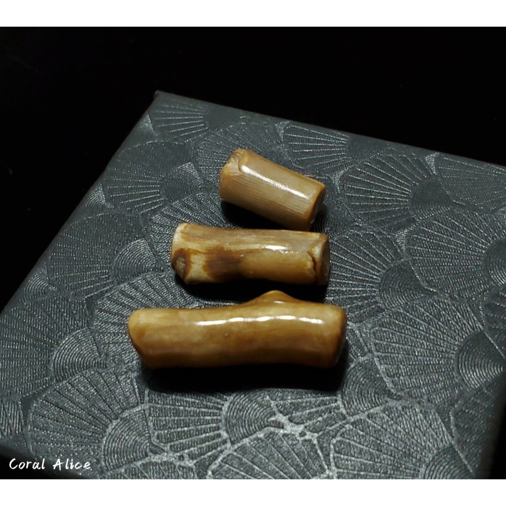 🌟Coral珊寶手作-天然夏威夷金珊瑚自然枝(無孔) CO2P1-113-細節圖2