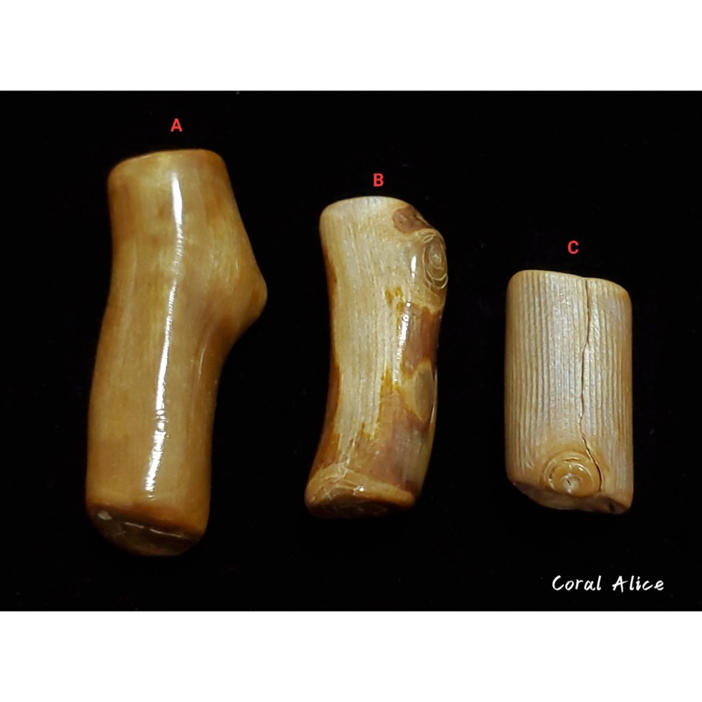 🌟Coral珊寶手作-天然夏威夷金珊瑚自然枝(無孔) CO2P1-113-細節圖4