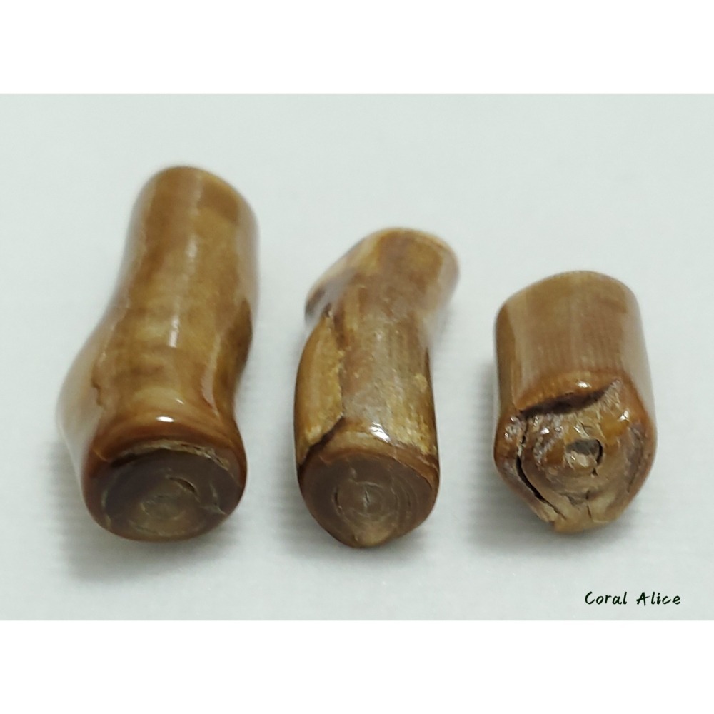 🌟Coral珊寶手作-天然夏威夷金珊瑚自然枝(無孔) CO2P1-113-細節圖8