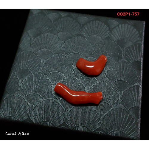 🌟Coral珊寶手作-天然阿卡珊瑚/紅珊瑚裸石 CO2P1-757