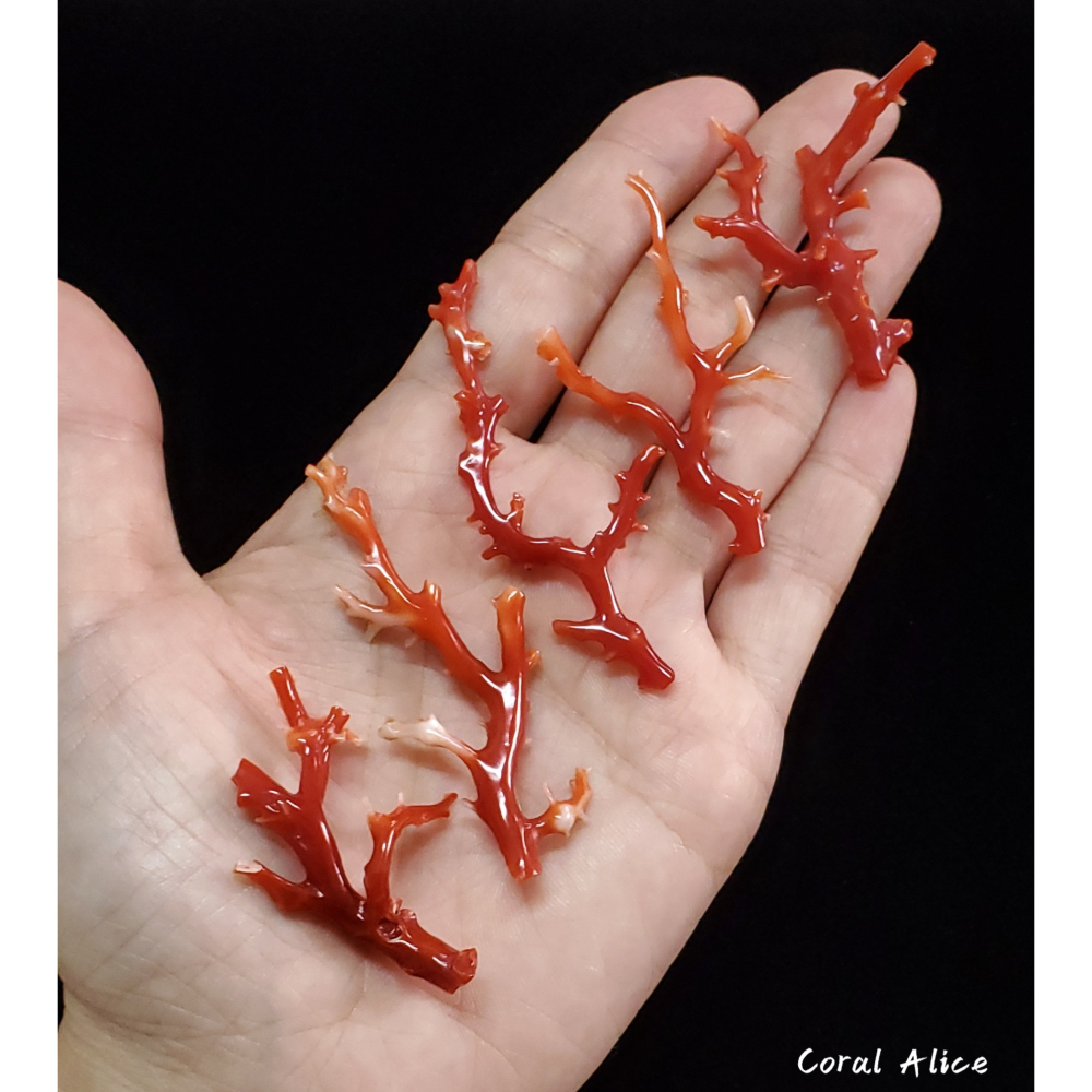 🌟Coral珊寶手作-天然阿卡珊瑚/紅珊瑚自然枝 CO2P1-759-細節圖5
