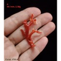 🌟Coral珊寶手作-天然阿卡珊瑚/紅珊瑚自然枝 CO2P1-759-規格圖7