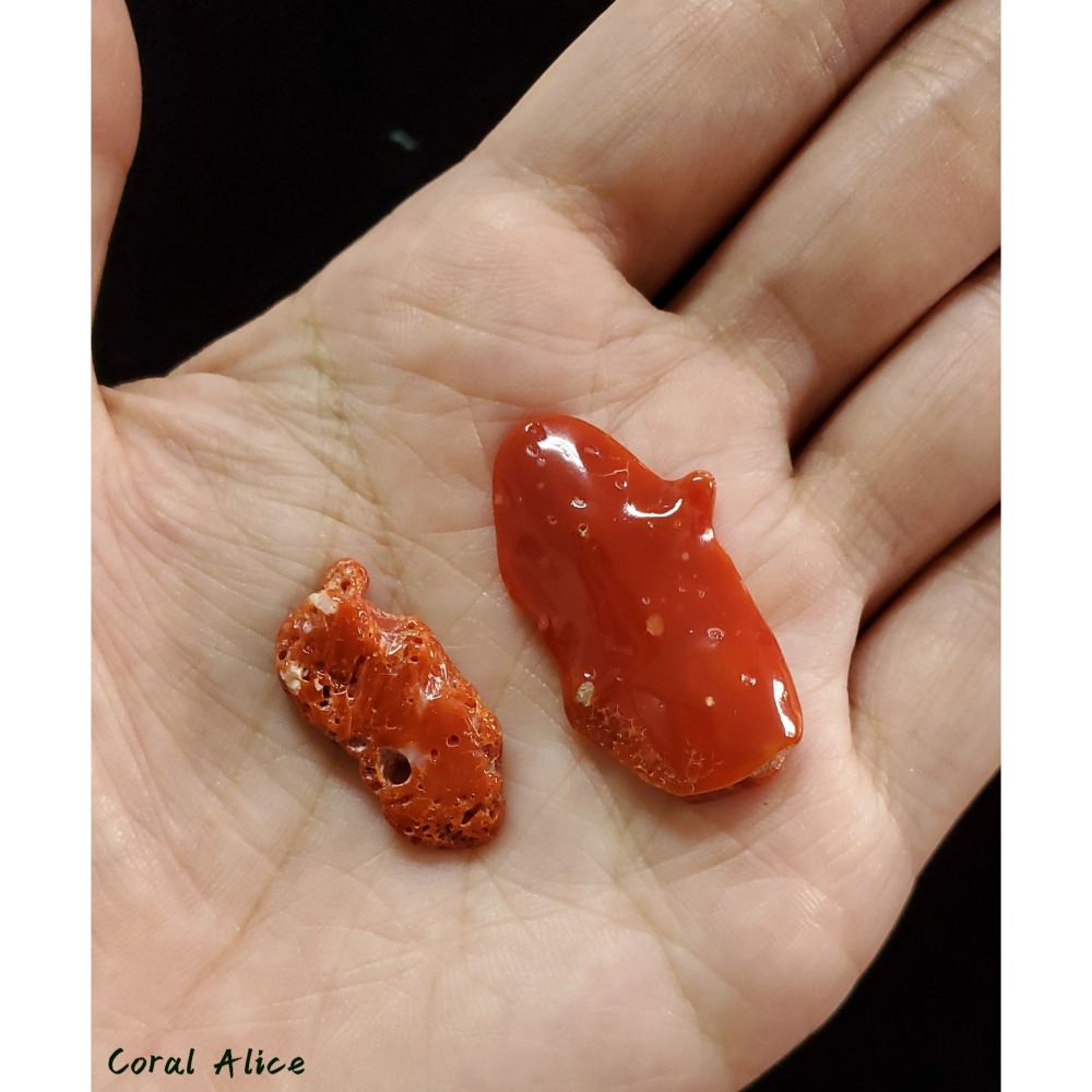 🌟Coral珊寶手作-天然MOMO珊瑚自然塊(帶蟲體) CO2P1-769-細節圖4