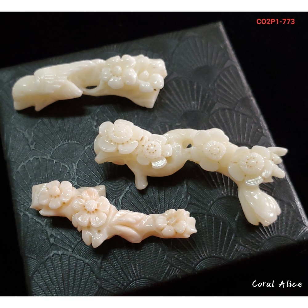 🌟Coral珊寶手作-天然南枝珊瑚(白珊瑚)手工刻花段 CO2P1-773-細節圖2