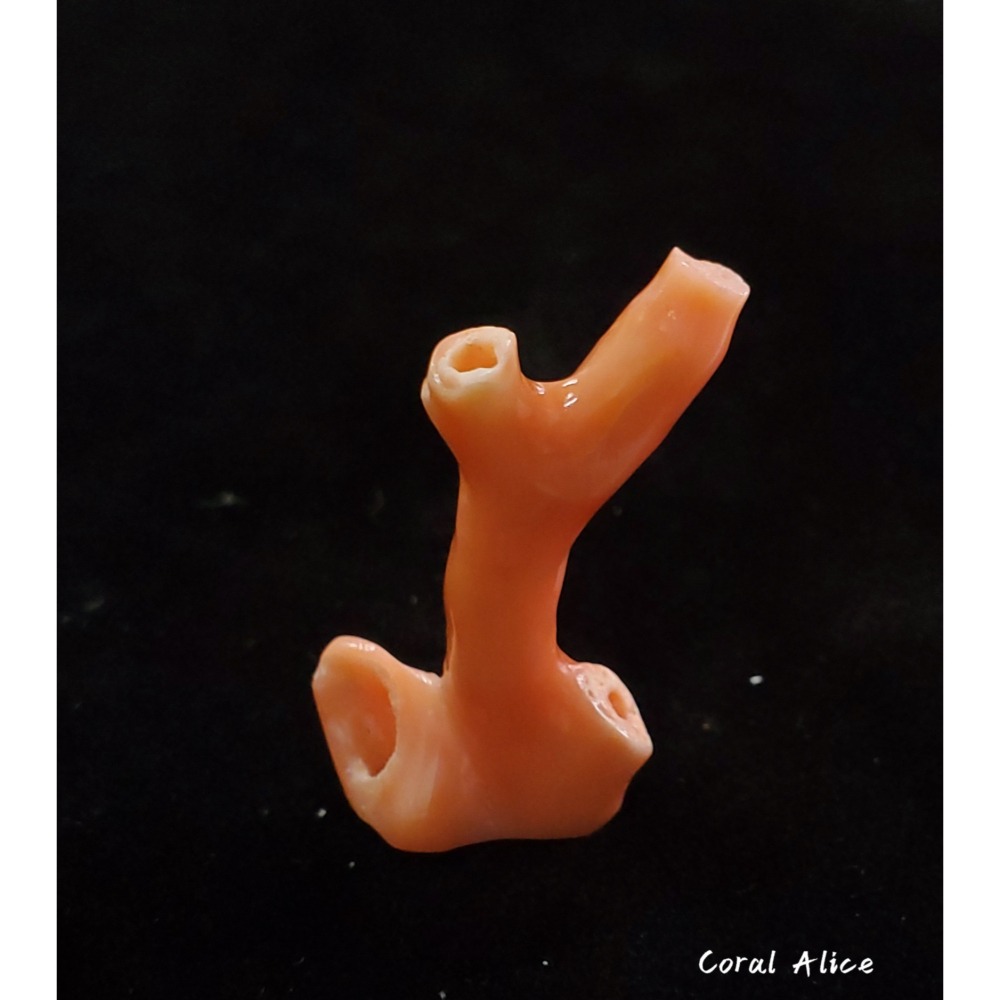 🌟Coral珊寶手作-天然深海珊瑚(特殊通孔) 35mm CO2P1-779-細節圖4