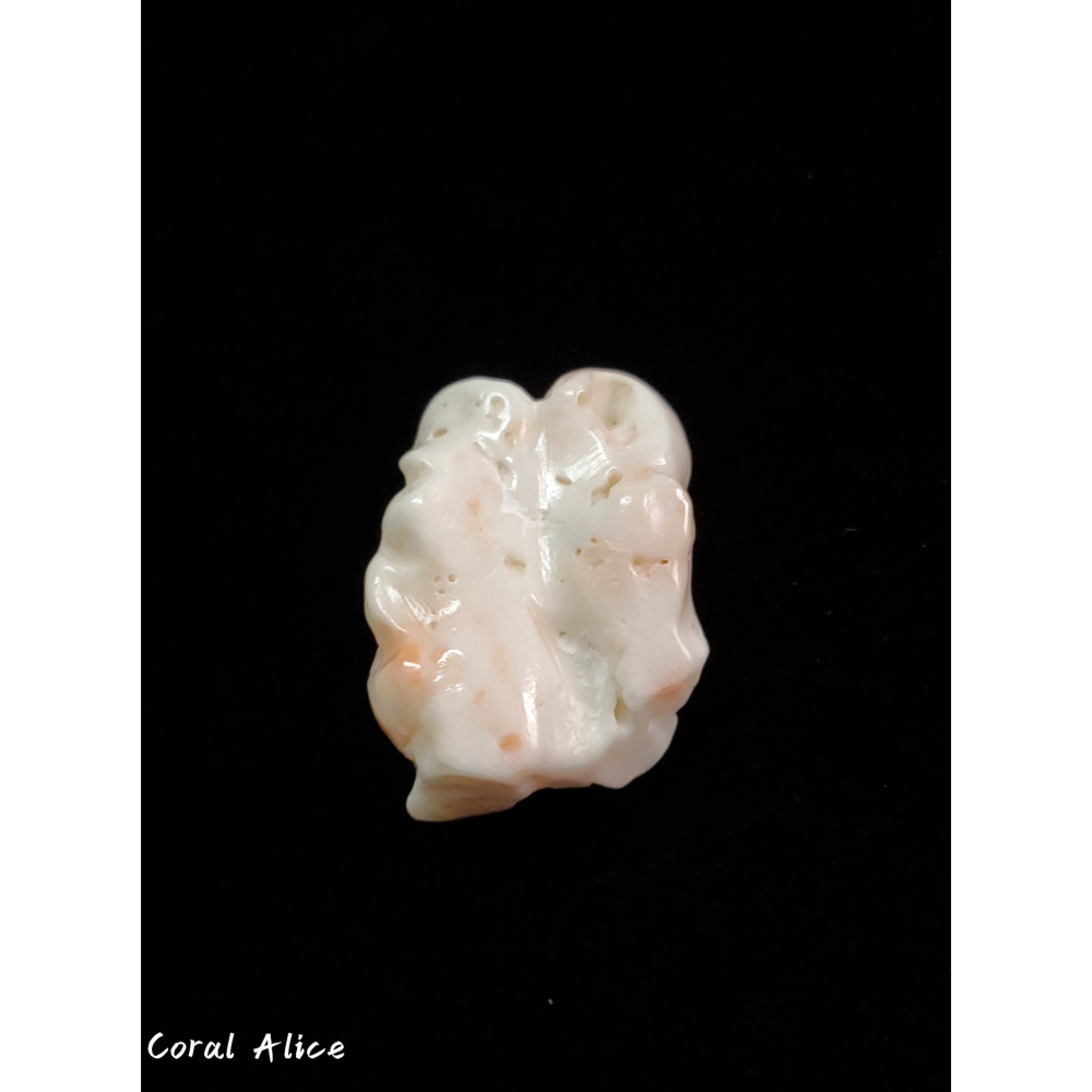 🌟Coral珊寶手作-天然白珊瑚手工雕刻 24.8mm CO2P1-780-細節圖3
