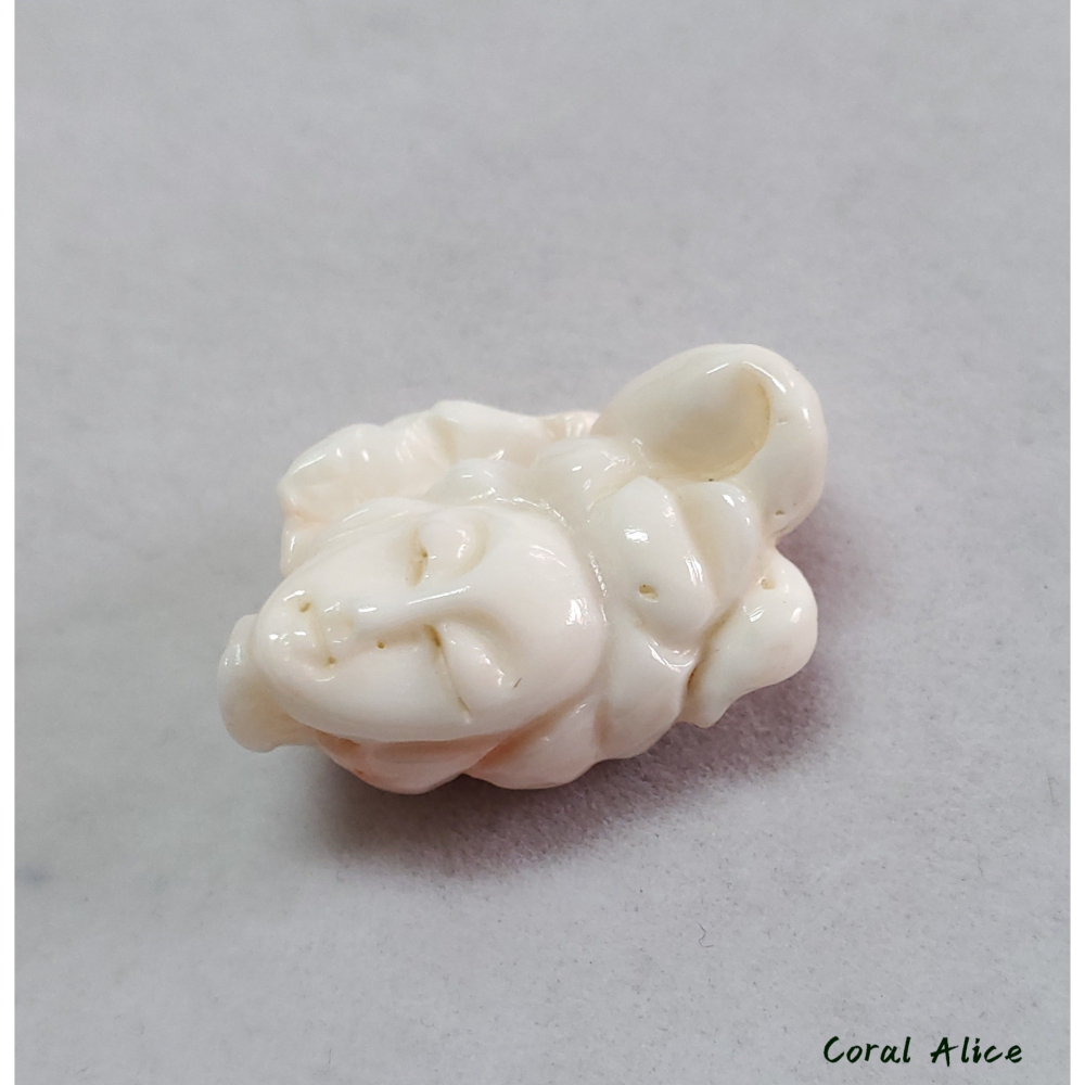 🌟Coral珊寶手作-天然白珊瑚手工雕刻 24.8mm CO2P1-780-細節圖6