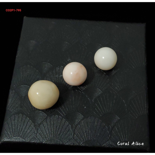 🌟Coral珊寶手作-天然白珊瑚圓珠12.3-14.4mm CO2P1-795