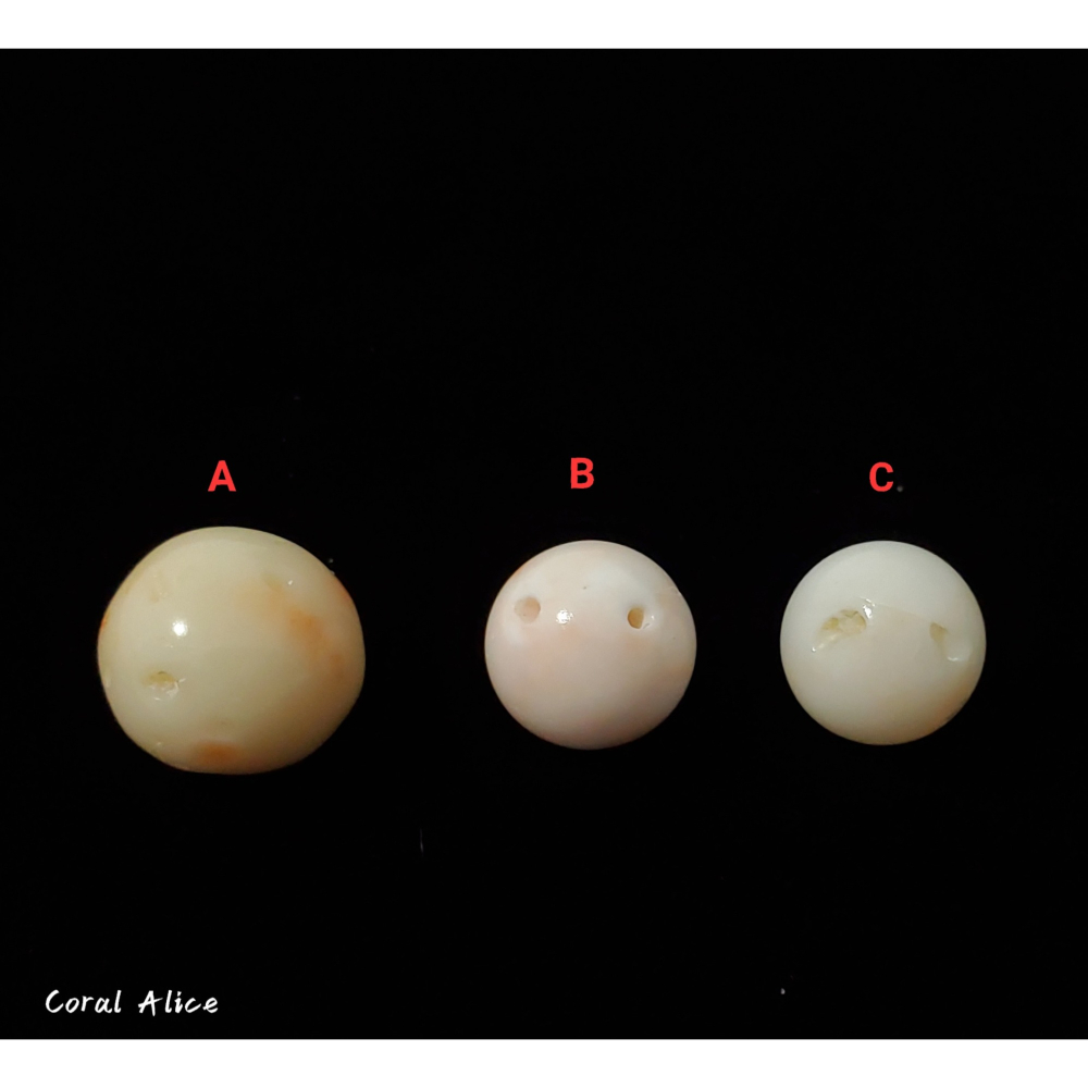 🌟Coral珊寶手作-天然白珊瑚圓珠12.3-14.4mm CO2P1-795-細節圖7