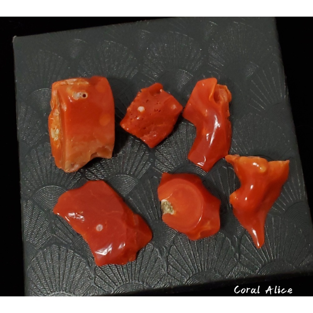 🌟Coral珊寶手作-天然阿卡aka珊瑚/紅珊瑚枝片 14-24mm CO2P1-816-細節圖2