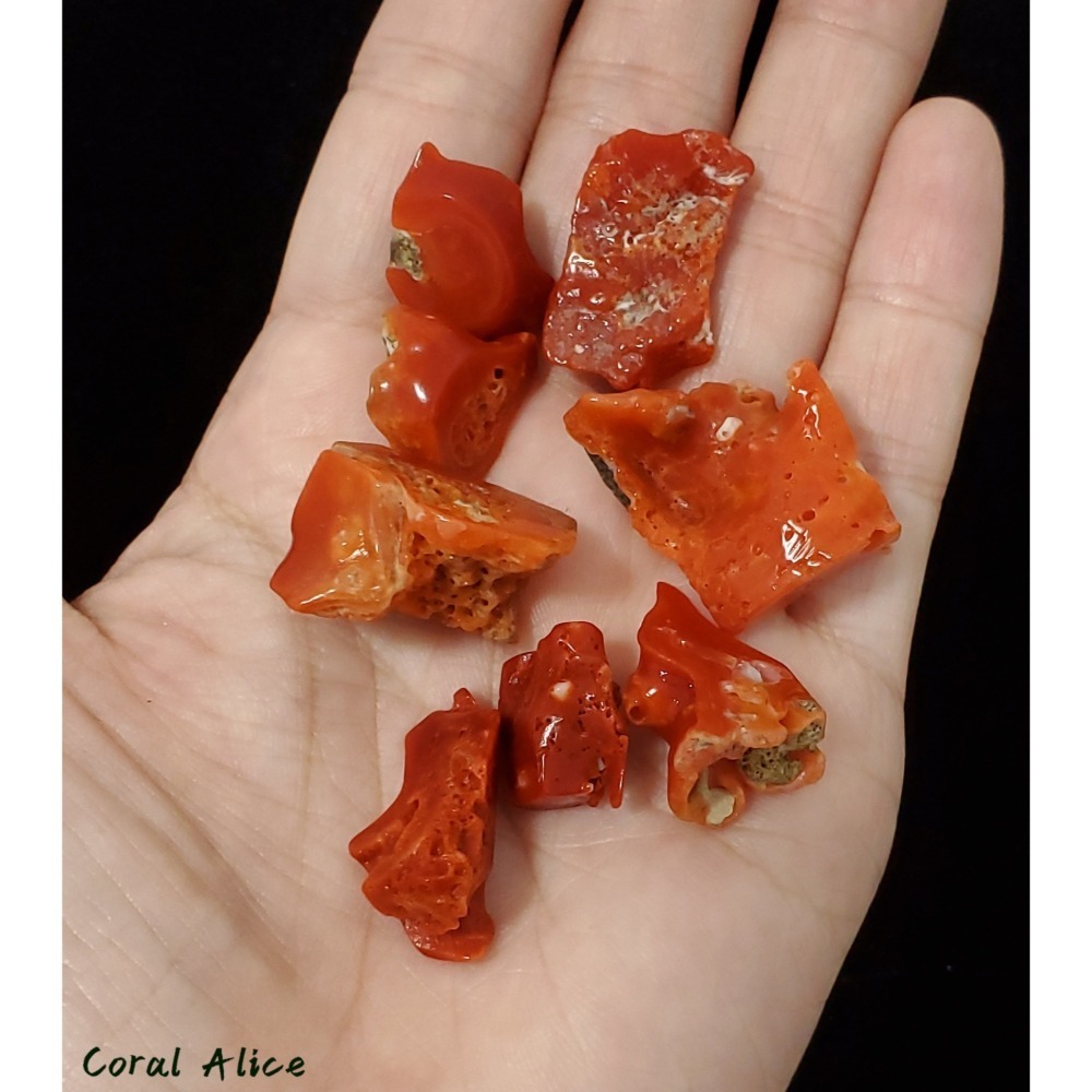 🌟Coral珊寶手作-天然阿卡aka珊瑚/紅珊瑚枝片 14-24mm CO2P1-816-細節圖5