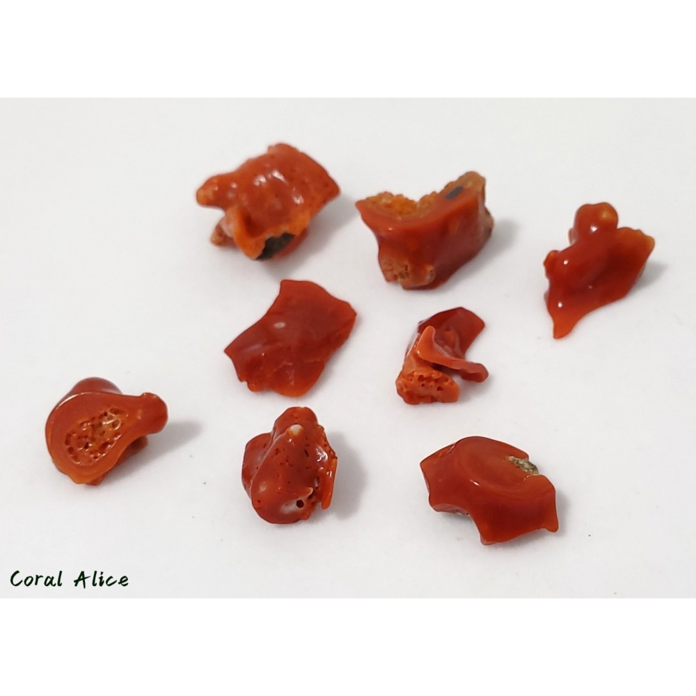 🌟Coral珊寶手作-天然阿卡aka珊瑚/紅珊瑚枝片 14-24mm CO2P1-816-細節圖6