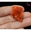 🌟Coral珊寶手作-天然阿卡aka珊瑚/紅珊瑚枝片 14-24mm CO2P1-816-規格圖7