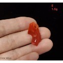 🌟Coral珊寶手作-天然阿卡aka珊瑚/紅珊瑚枝片 14-24mm CO2P1-816-規格圖7