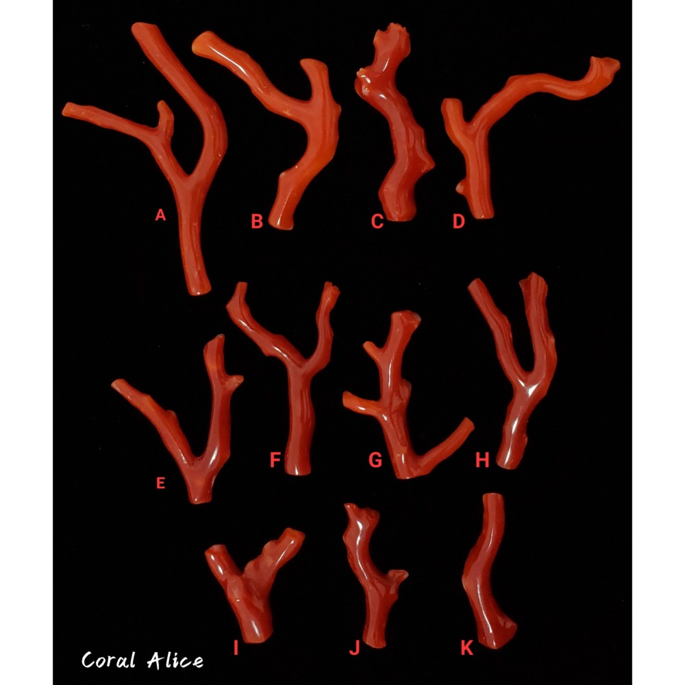 🌟Coral珊寶手作-天然阿卡珊瑚自然枝(無孔) CO2P1-824-細節圖2