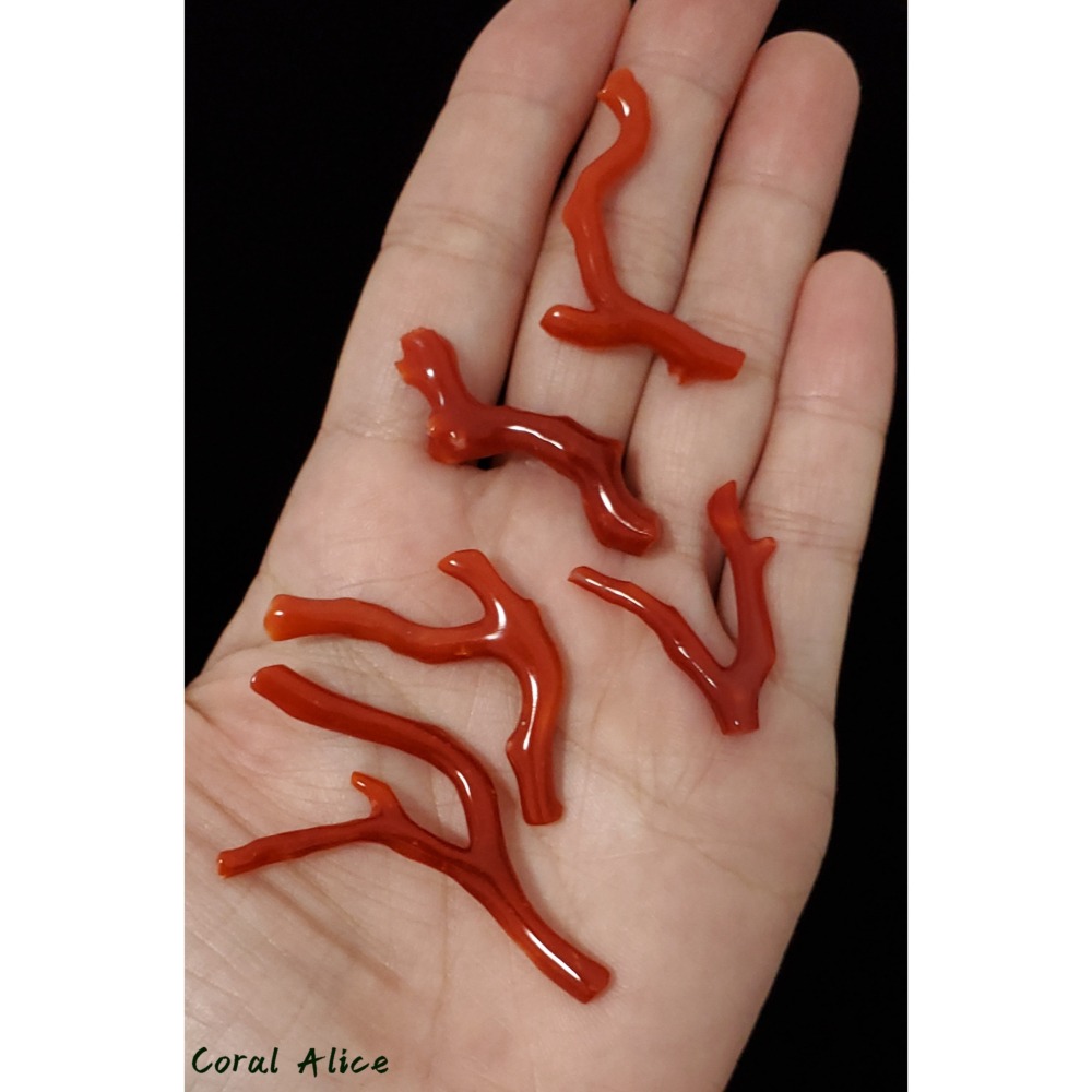 🌟Coral珊寶手作-天然阿卡珊瑚自然枝(無孔) CO2P1-824-細節圖6