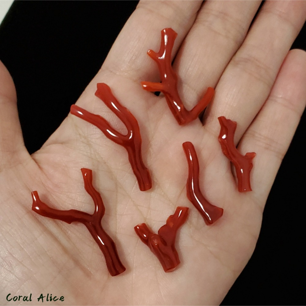 🌟Coral珊寶手作-天然阿卡珊瑚自然枝(無孔) CO2P1-824-細節圖7
