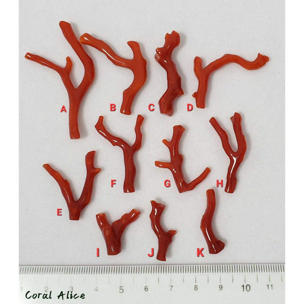 🌟Coral珊寶手作-天然阿卡珊瑚自然枝(無孔) CO2P1-824-細節圖8