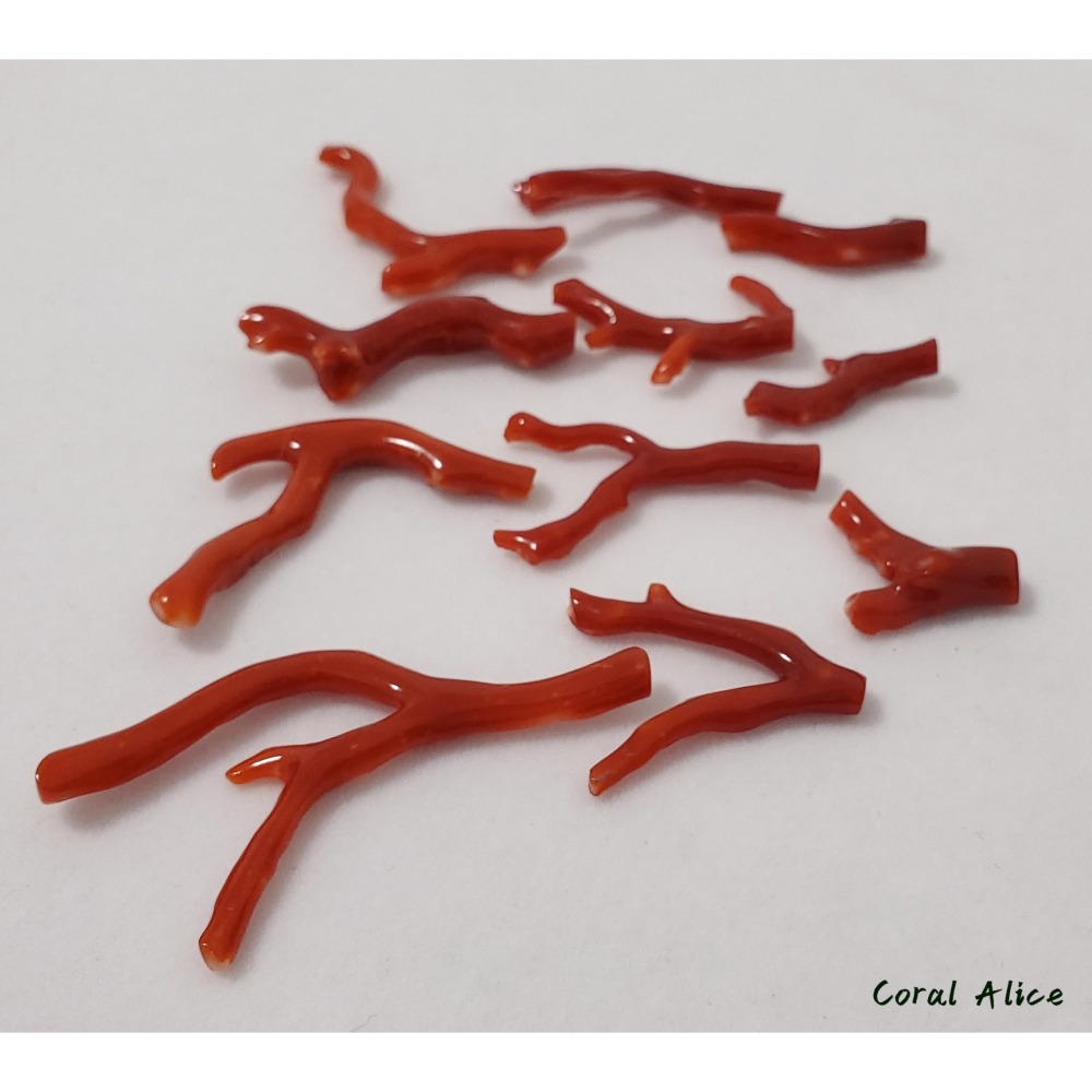 🌟Coral珊寶手作-天然阿卡珊瑚自然枝(無孔) CO2P1-824-細節圖10
